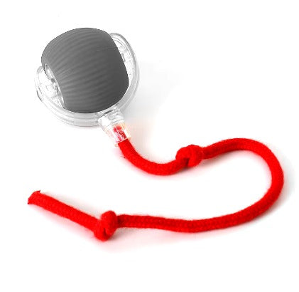 Giocattolo intelligenti