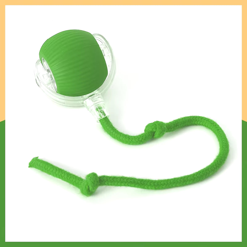 Giocattolo intelligenti