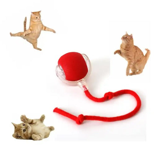 Giocattolo intelligenti